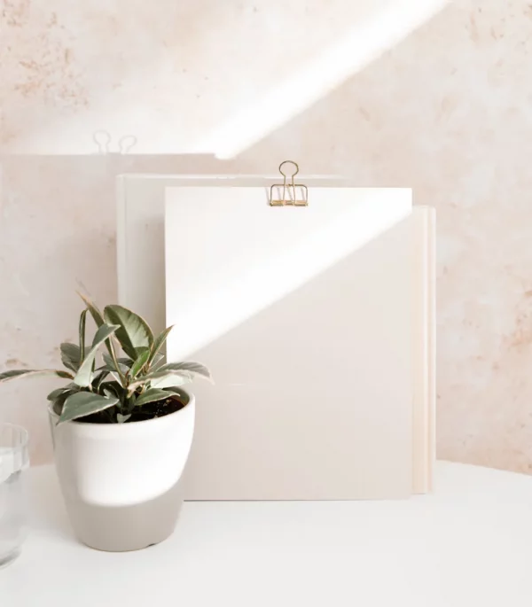 Pflanze und Notizboard im Sonnenlicht – Symbol für Wachstum, Entwicklung und die fundierten Qualifikationen von Jacqueline Schade in der Feelgood Academy.