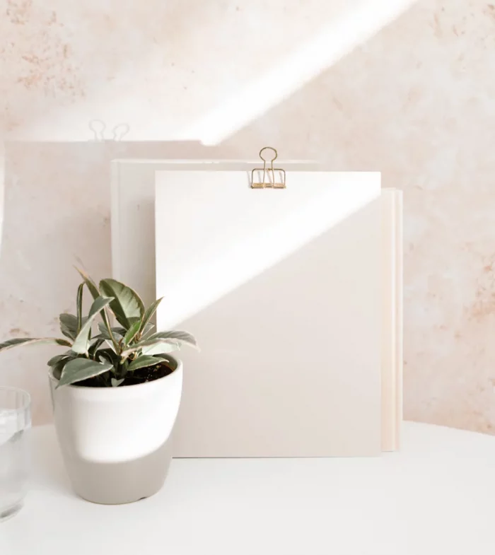 Minimalistisches Stillleben mit Pflanze und hellen Notizblättern – Symbol für Klarheit, Wachstum und persönliche Entwicklung in den Feelgood Academy Kursen.